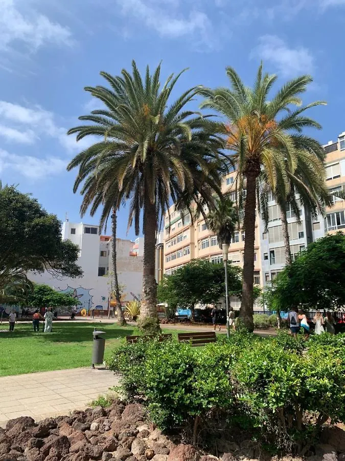 Green Beach Las Canteras Las Palmas de Gran Canaria